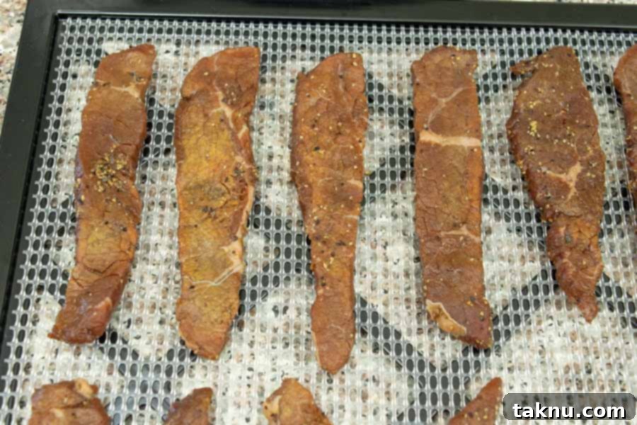 Vintner's Mash Beef Jerky 10 Jerky strips arranged on a dehydrator tray, ready for drying