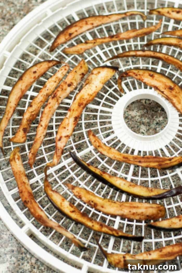 Evenly spaced blueberry eggplant slices laid out on dehydrator trays, ready for drying