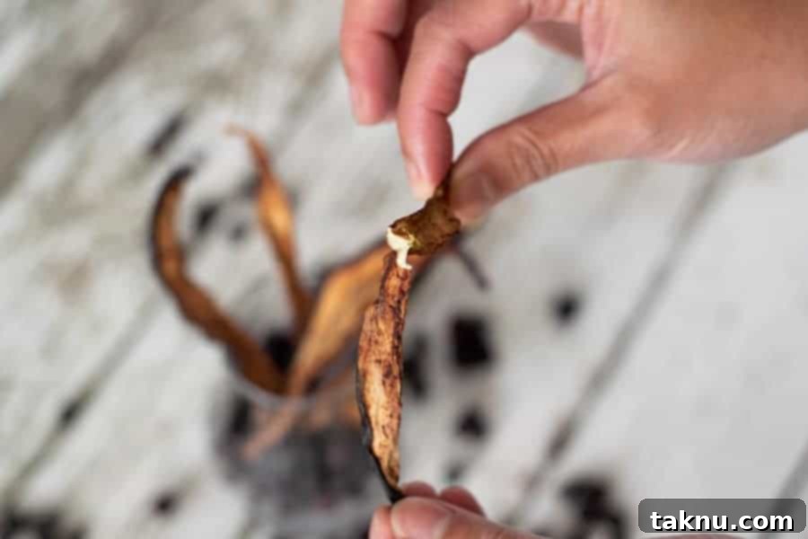 A finished piece of blueberry eggplant jerky, broken to show its internal texture and crispiness