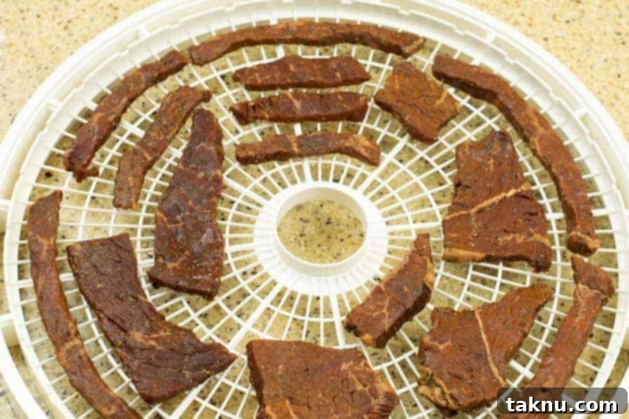 Gunslinger's Jerky 12 Carefully arranged jerky strips on a dehydrator tray, ready for the drying process.