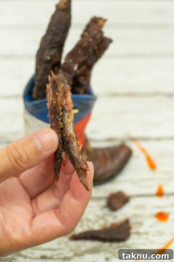 Gunslinger's Jerky 13 Bending a cooled piece of jerky to test for doneness, showing the desired flexibility and internal fibrous texture.