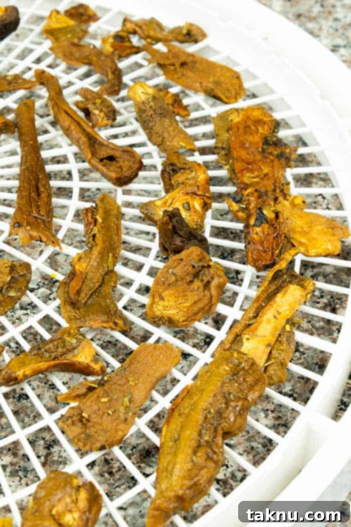 Evenly spaced porcini mushroom slices arranged on a dehydrator tray, ready for dehydration