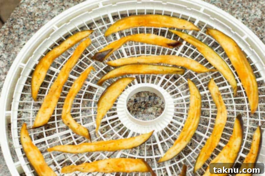 Eggplant Jerky on dehydrator tray