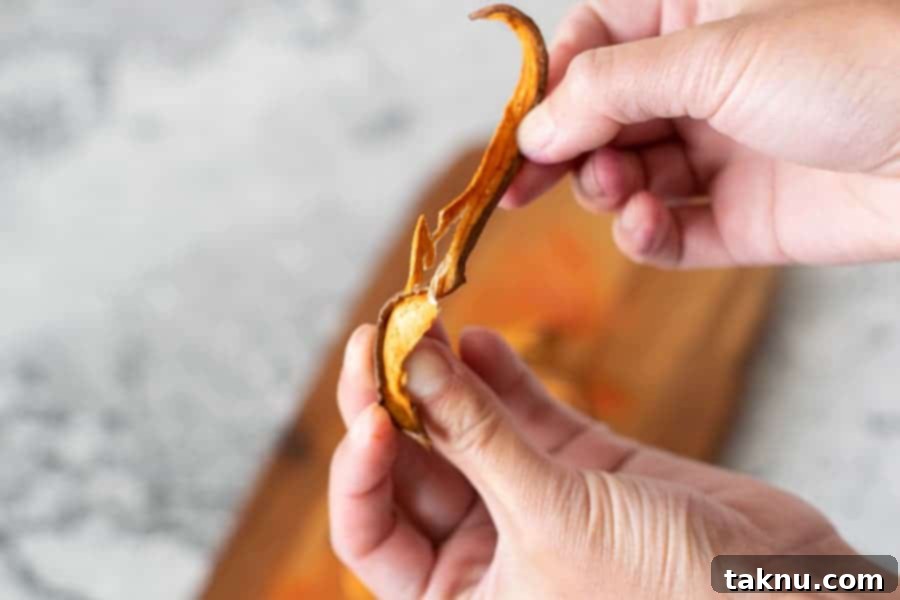 Broken piece of eggplant jerky