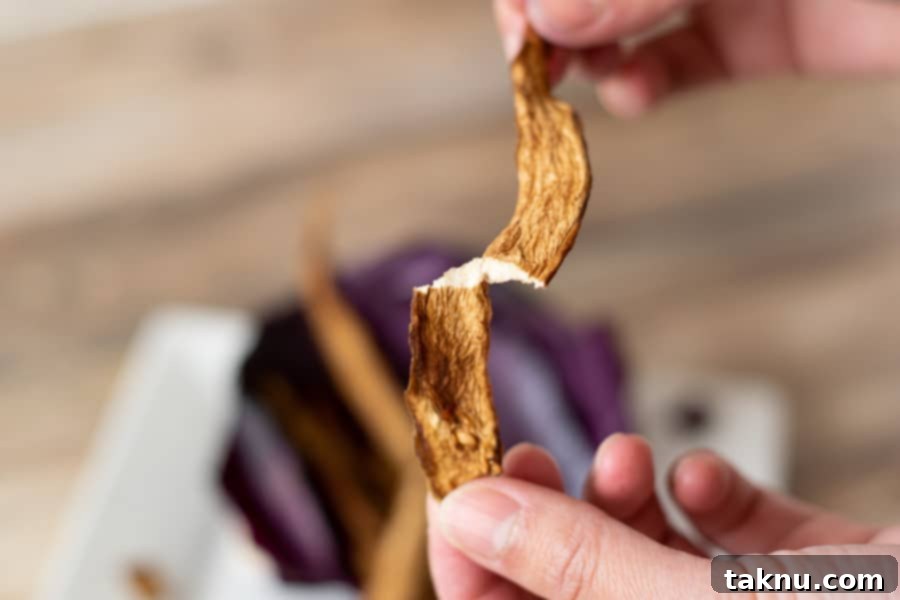 Sun-Kissed Eggplant Bites 10 Broken eggplant jerky