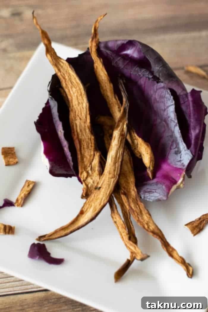 Sun-Kissed Eggplant Bites 12 Eggplant jerky on red cabbage on white plate