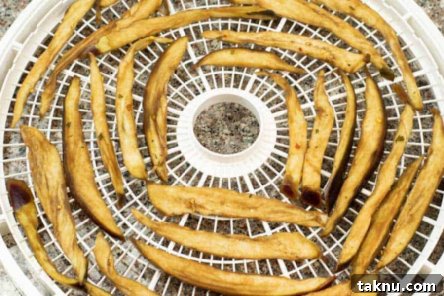 Sun-Kissed Eggplant Bites 9 Eggplant jerky on dehydrator tray