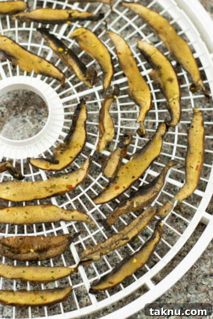 Tangy Umami Mushroom Bites 9 Portobello slices on dehydrator tray