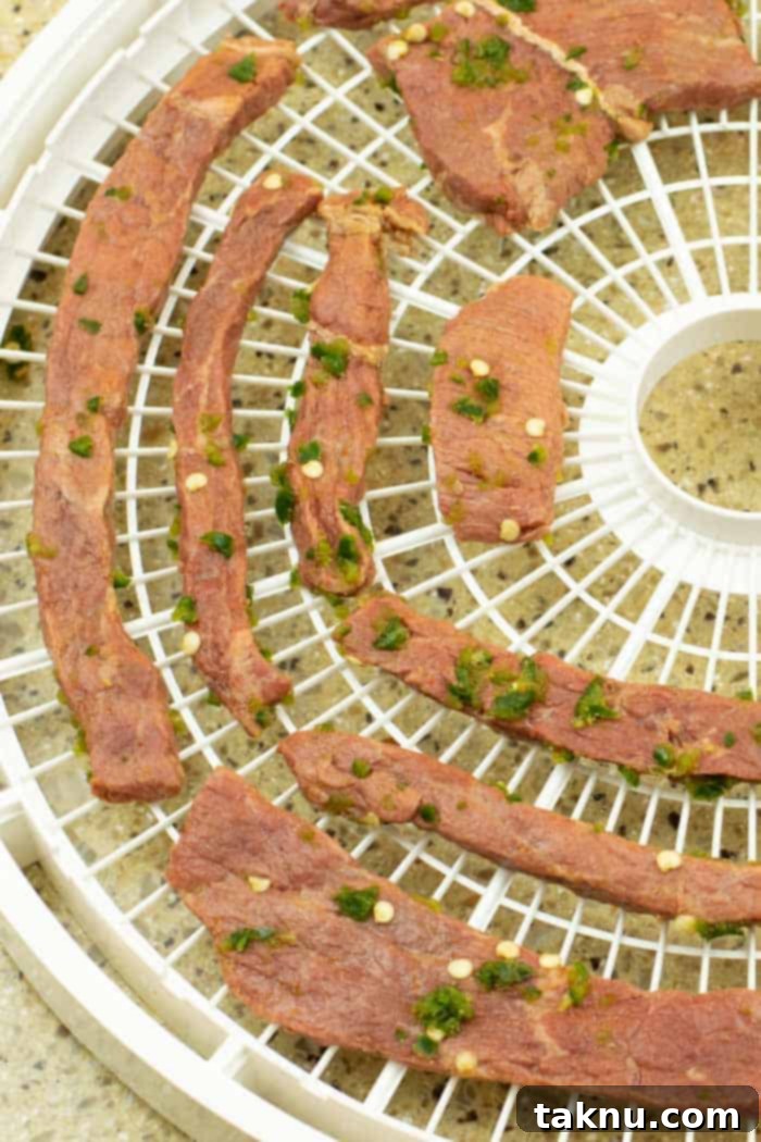 Blaze Beef Jerky 14 Spicy beef jerky arranged neatly on Nesco dehydrator trays, ready for drying