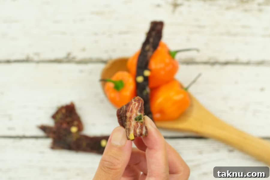 Blaze Beef Jerky 15 Testing beef jerky for doneness by bending a strip, with habanero peppers in the background