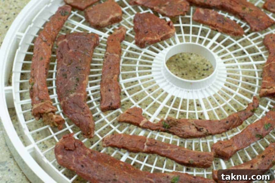 Beef jerky on a dehydrator tray, ready for drying
