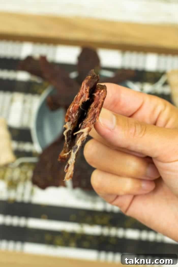 Hand holding a piece of finished jerky, bent to show its texture
