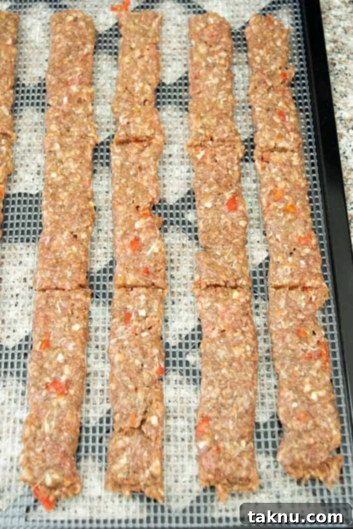 Jerky on a dehydrator sheet