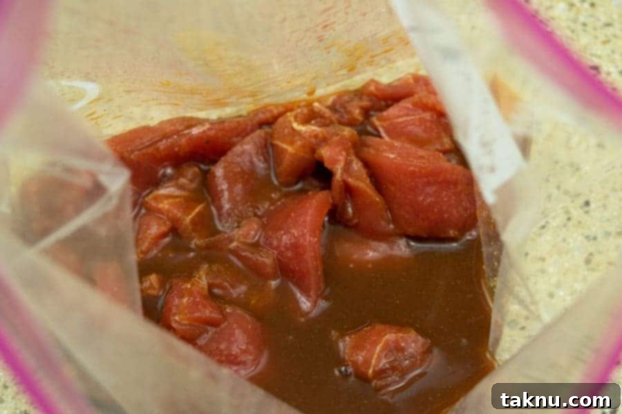 Zesty Inferno Tuna Strips 6 Tuna jerky strips fully coated and marinating in a resealable bag