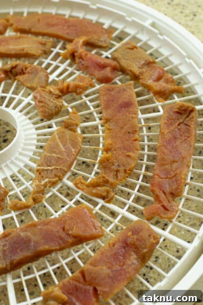 Zesty Inferno Tuna Strips 8 Tuna jerky strips spread out on a dehydrator tray, ready for drying
