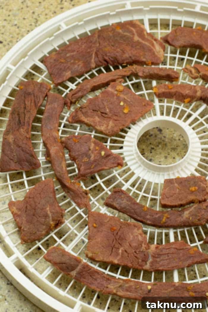 Jerky on dehydrator trays