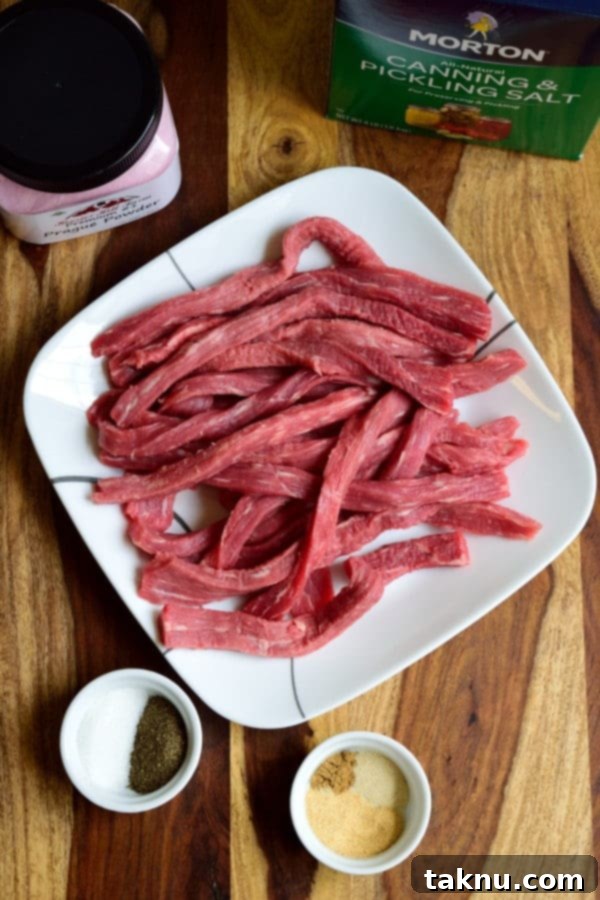 Jerky strips arranged on a plate with seasoning and curing salt on a cutting board
