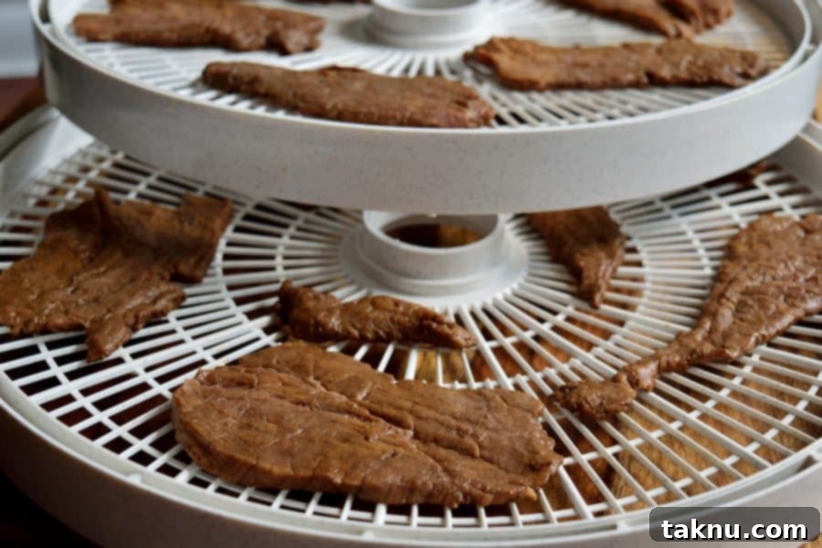 Simply Sweet Jerky drying in a dehydrator