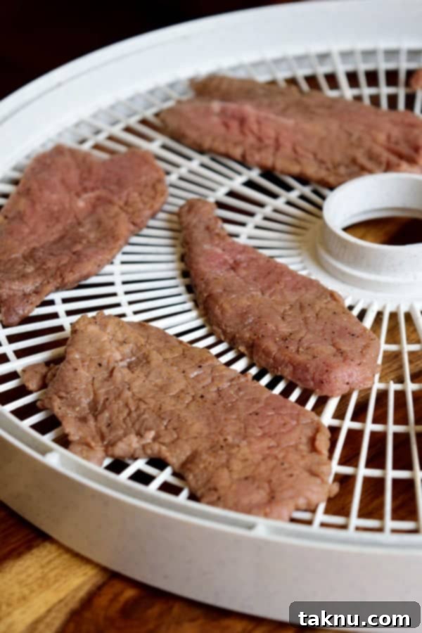 East Coast Beef Jerky 4 East Coast Jerky in Dehydrator
