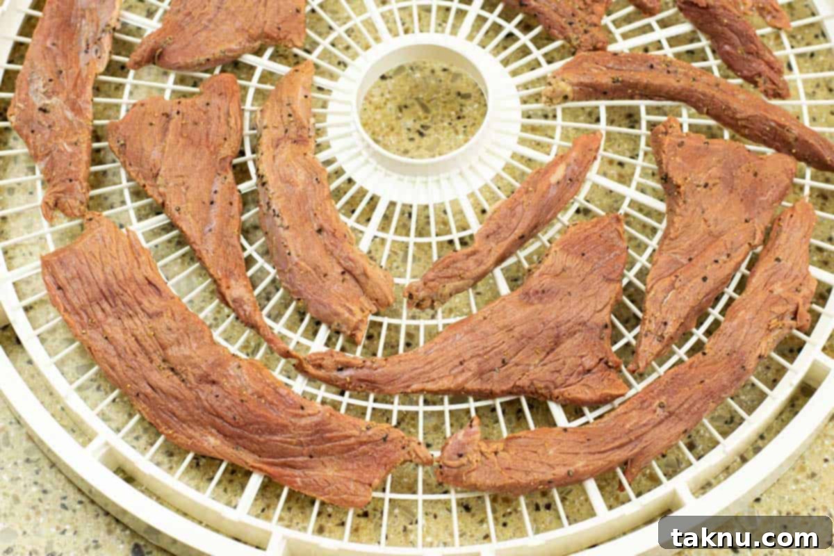 Zesty Beef Jerky 6 Beef jerky strips arranged on white dehydrator tray, with ample space for airflow