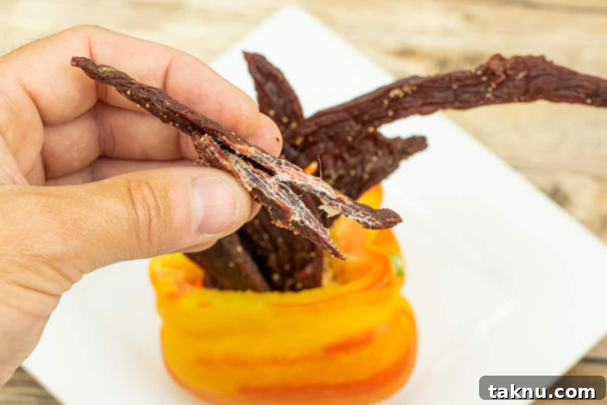 Zesty Beef Jerky 7 Tangy beef jerky bent in half showing white fibers and that it is finished drying