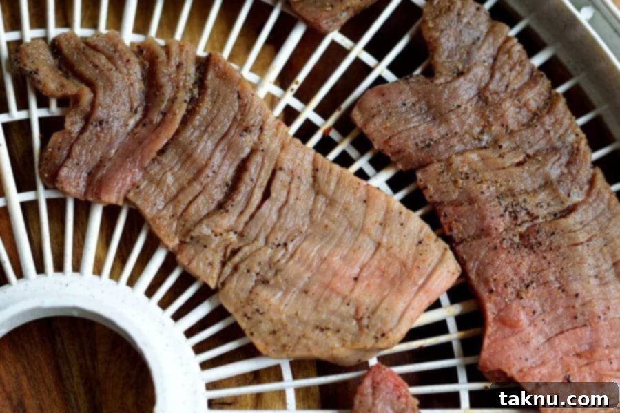 Montana Mountain Jerky Dehydrator