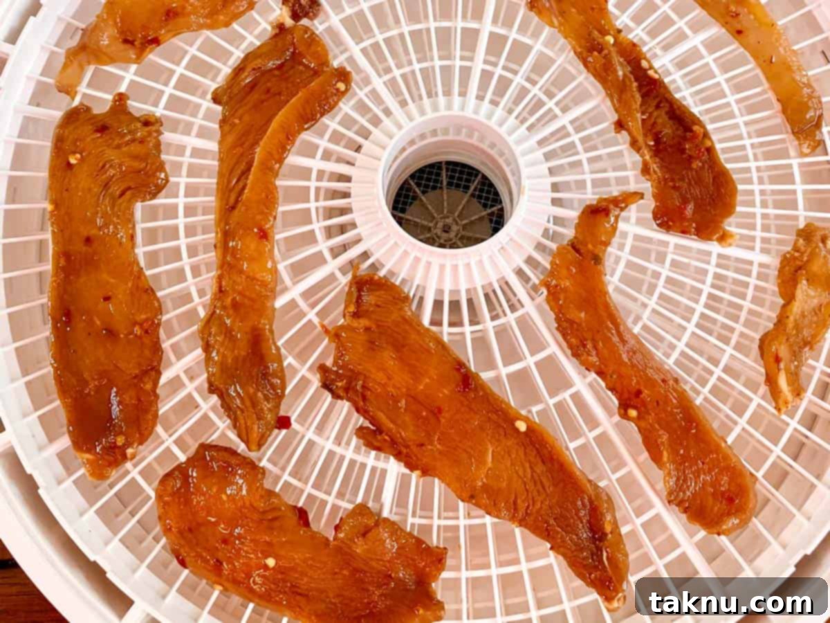 Chicken Jerky 7 chicken jerky on dehydrator tray