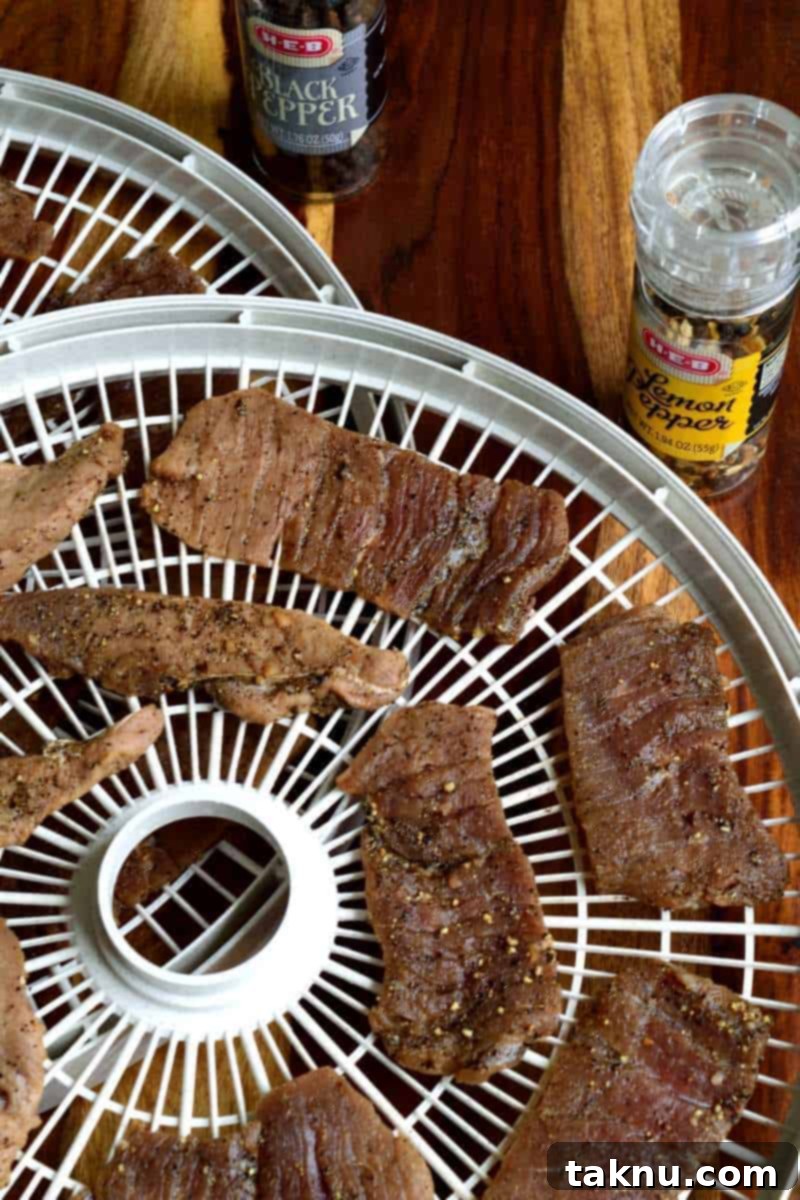 Bold Peppered Beef Jerky 6 Dos Pepper Jerky Dehydrator