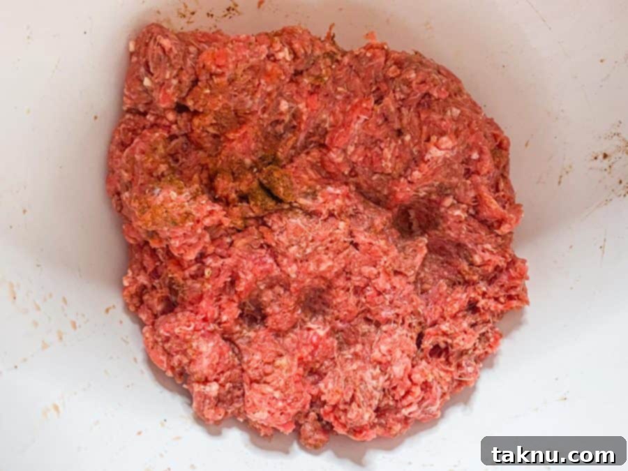 Ground meat mixed with seasoning in bowl
