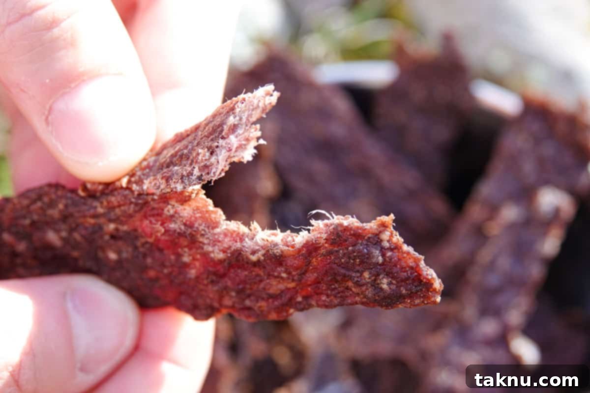 Dog jerky ripped showing it's finished drying