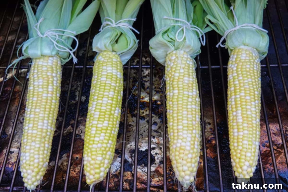 ears of corn on smoker, getting infused with smoky flavor