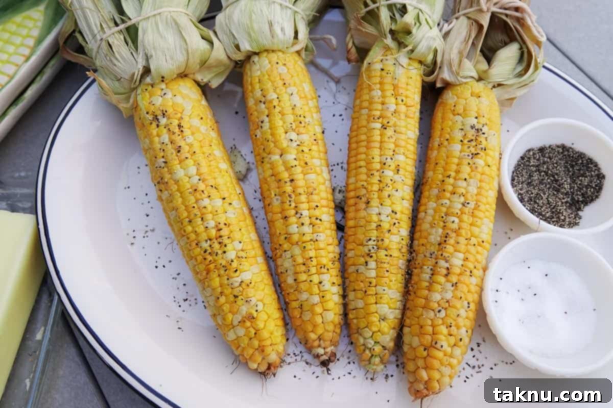 smoked corn seasoned with salt and pepper on white plate, beautifully presented