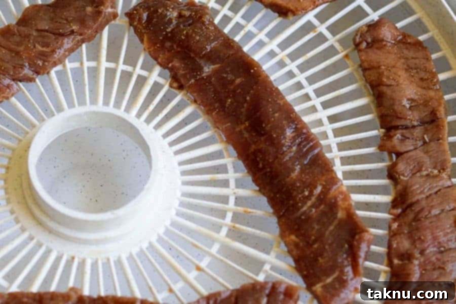 Classic Chinese Five Spice Beef Jerky 4 Chinese 5 Spice Beef Jerky Dehydrator