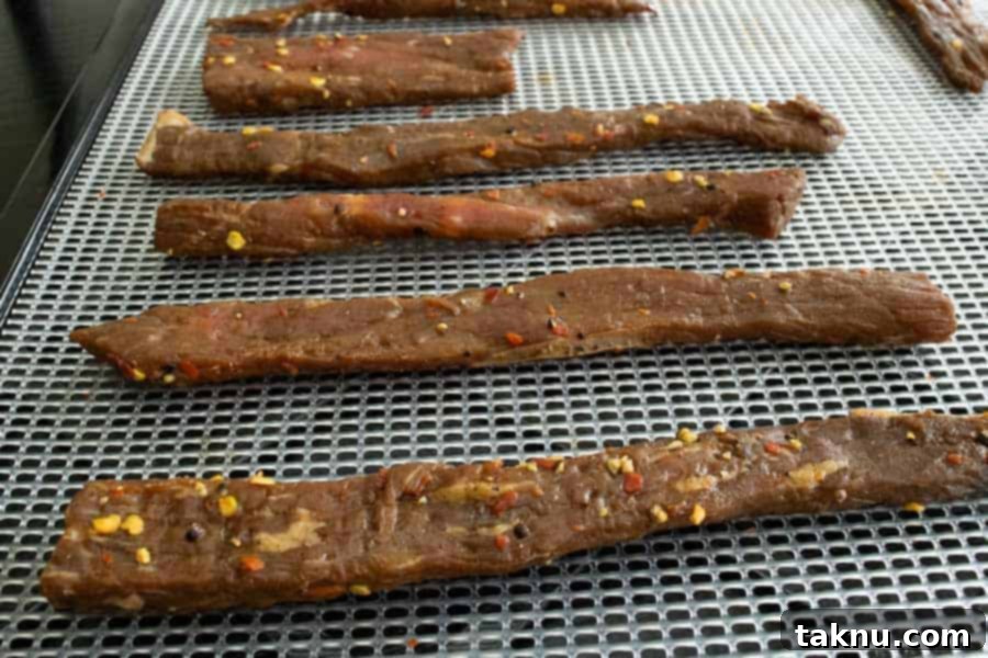 Homemade Dehydrator Beef Jerky 10 Beef Jerky strips neatly arranged on a dehydrator tray with ample space