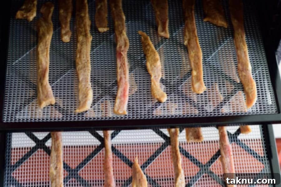 Dr Pepper Beef Jerky 7 Dr. Pepper Beef Jerky Dehydrator