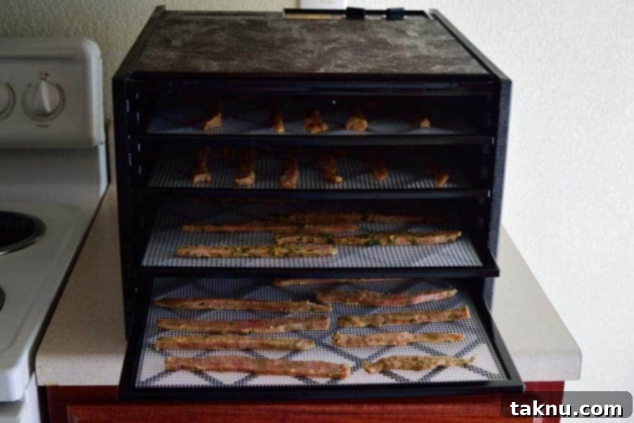 Siam Spice Beef Jerky 5 Thai Spiced Beef Jerky Dehydrator