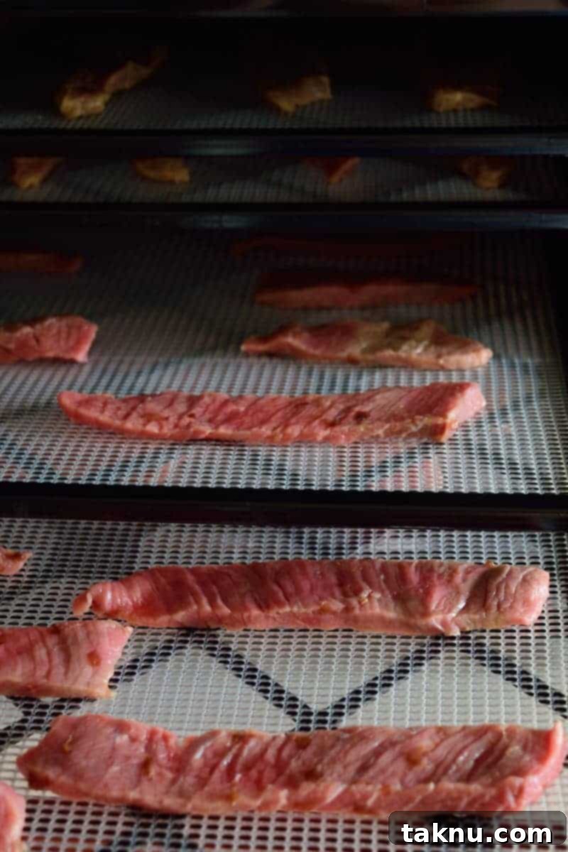 Sweet Cherry Beef Jerky drying in an Excalibur dehydrator