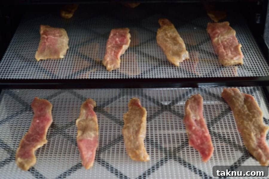 Beef strips with Tropical Island marinade arranged on a dehydrator tray