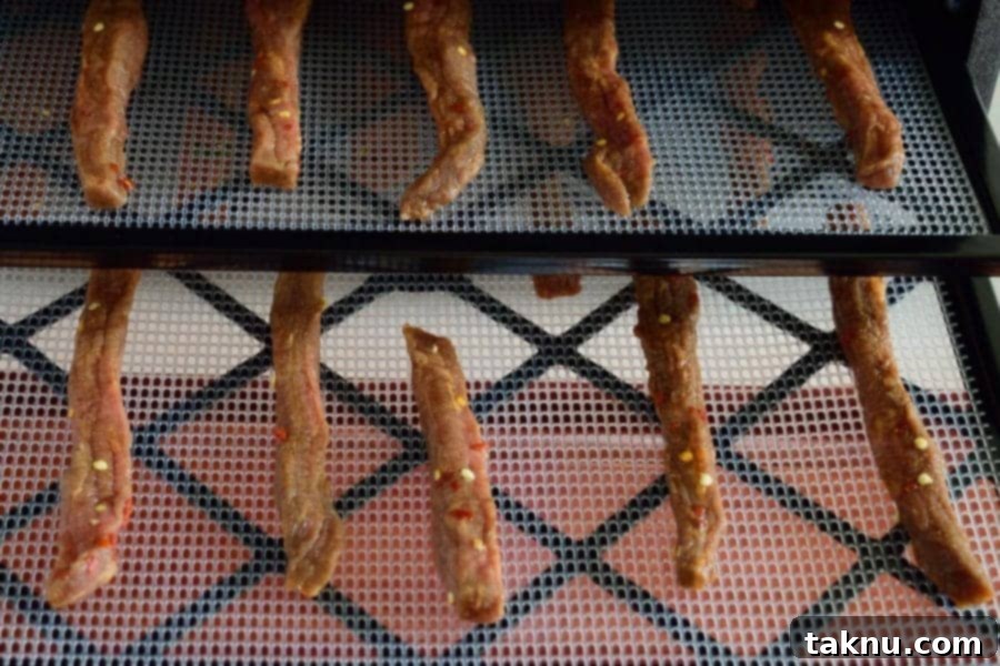 Mexican Heat Beef Jerky Dehydrator