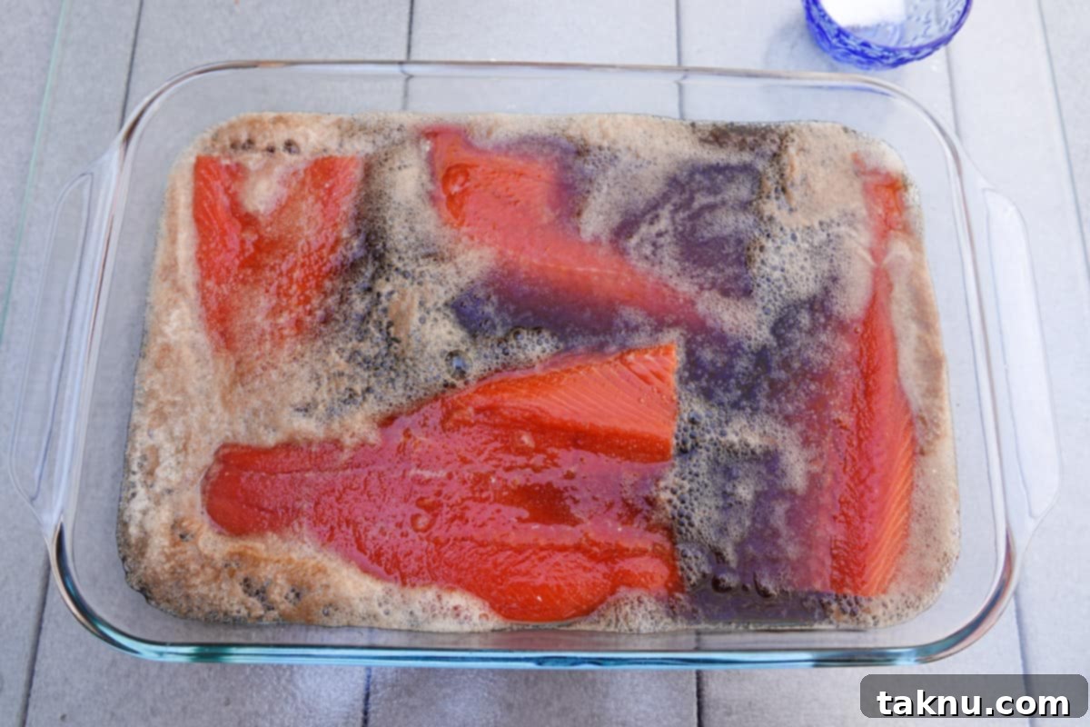Fresh salmon fillets resting skin-side up in a dish filled with Dr. Pepper brine, ready for refrigeration
