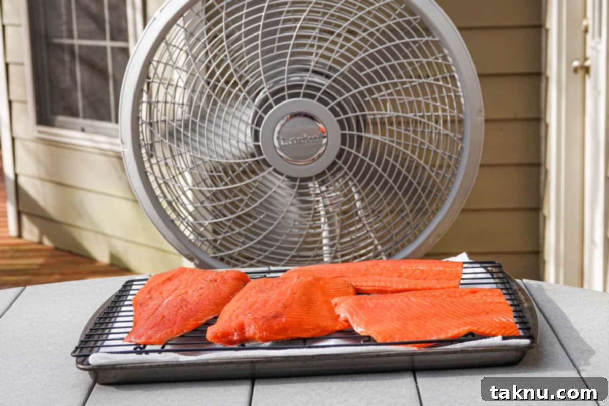 Salmon fillets arranged on a cooling rack in front of a fan, developing a pellicle before smoking
