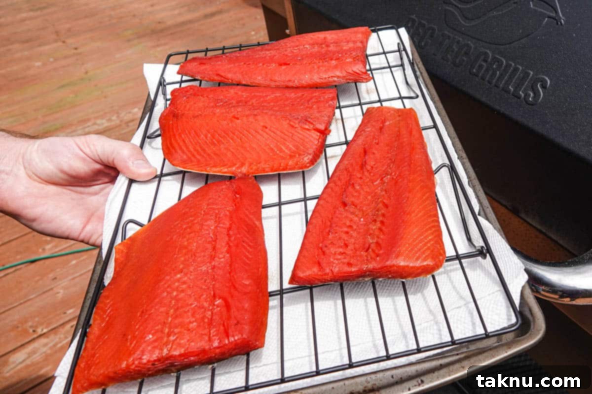 Four perfectly brined and pellicle-formed salmon fillets arranged skin-side down on a smoker rack, ready for smoking