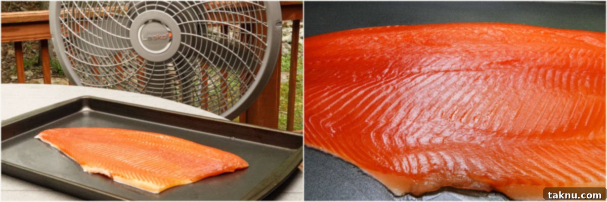 Smoked Trout: Plain & Glazed 6 Trout in front of fan and close up picture of pellicle on trout