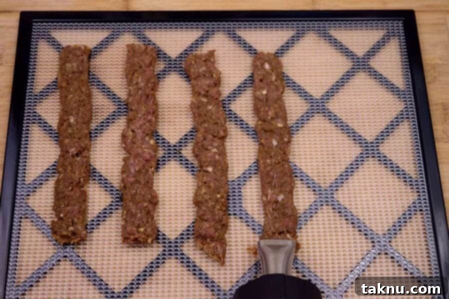 Shooting strips of jerky on dehydrator tray