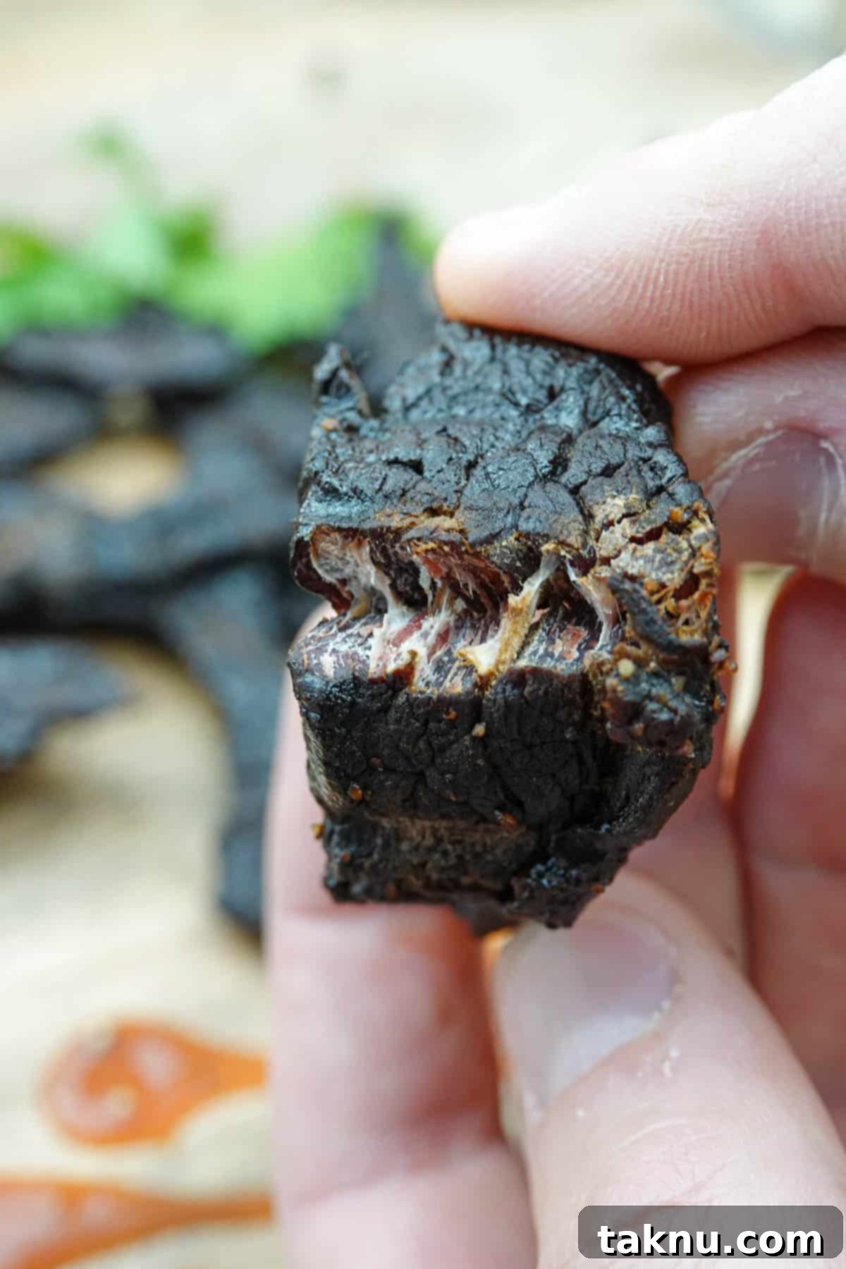 Crafting Smoked Beef Jerky 15 Beef jerky bent in half, showing the ideal texture for proper dryness and chewiness.