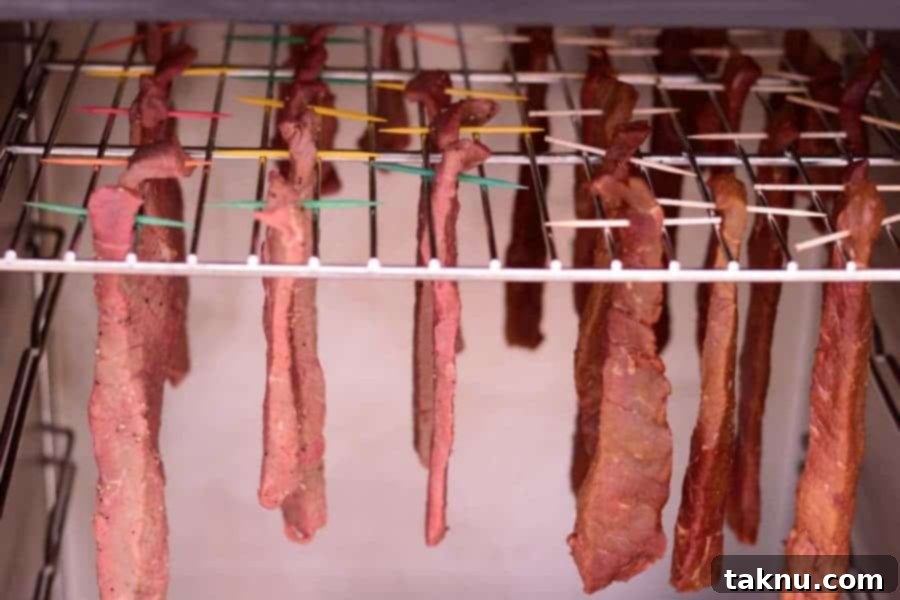 Smoked beef jerky strips hanging evenly in a Masterbuilt Smoker, showing different colors for different flavors.